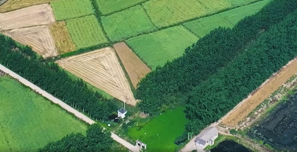 湖北履帶機麥收